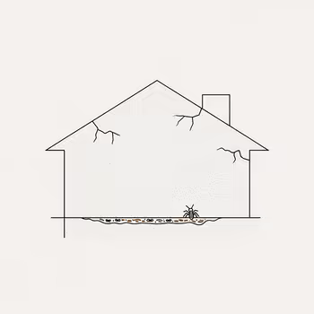 A Guide to Termites in Stucco Homes