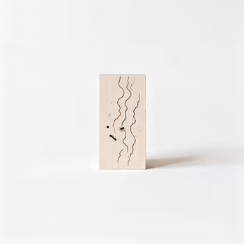 Termite Wood Damage: A Homeowner's Guide